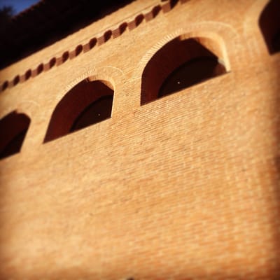 Musée Saint-Raymond by null