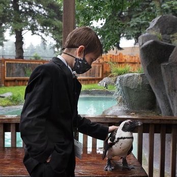 Idaho Falls Zoo - Penguin encounter - Zoos Near Me - Idaho Falls, Idaho Idaho Falls Zoo - Penguin encounter - Zoos Near Me - Idaho Falls, Idaho