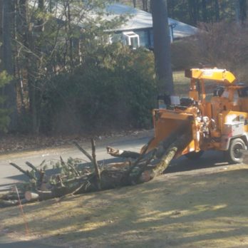 Leafing Out Landscapes - Tree Services Near Me Leafing Out Landscapes - Tree Services Near Me