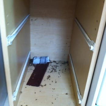 Wowzser Maids House Cleaning Services - We paid $110 for a move out deep clean and this is what we got. Cabinet left of dead bugs. - Home Cleaning Near Me - Costa Mesa, California Wowzser Maids House Cleaning Services - We paid $110 for a move out deep clean and this is what we got. Cabinet left of dead bugs. - Home Cleaning Near Me - Costa Mesa, California