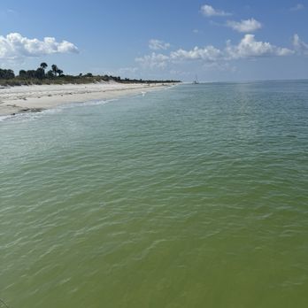 Island Boat Adventures - Tours Near Me - Gulfport, Florida Island Boat Adventures - Tours Near Me - Gulfport, Florida