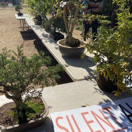 Silent bonzai auction