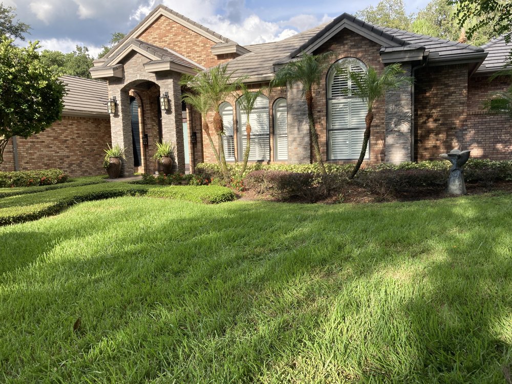 Dwayne Wilson's Tree Service - tree service in Tampa, FL