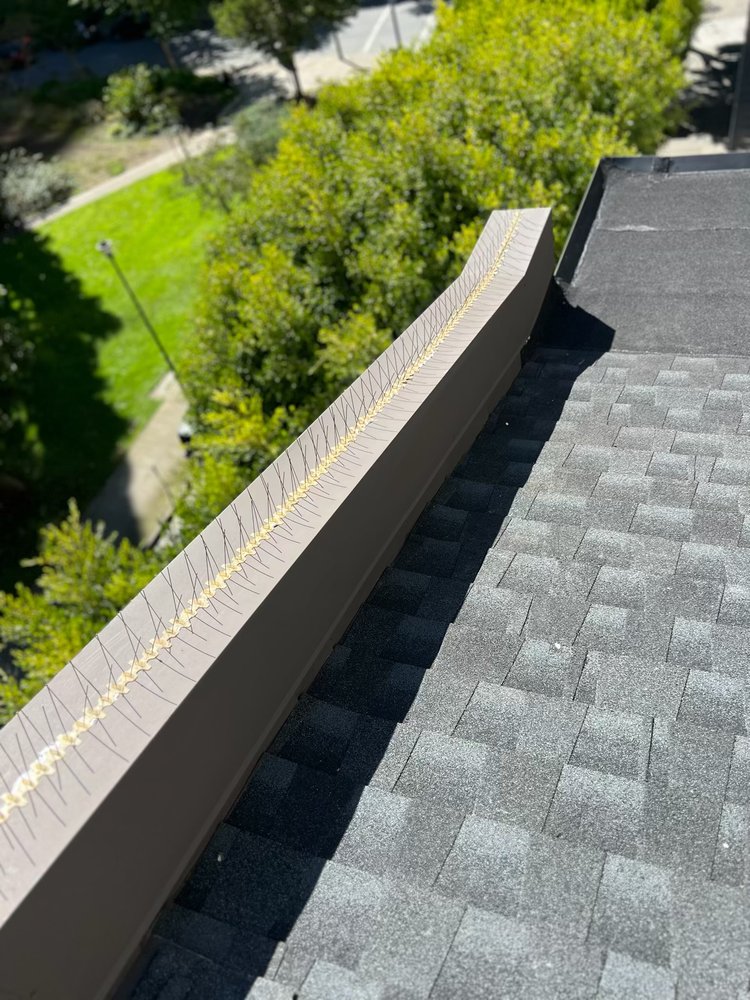 Slide of Rooftop Roofing