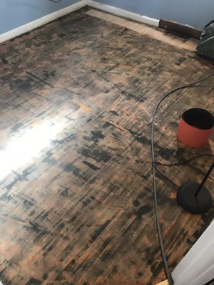 All Natural Wood Flooring