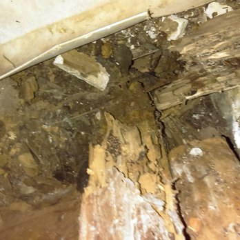 Do My Termite Control - Home Inspectors Near Me