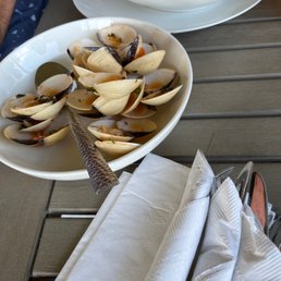 Excellent clams and oysters Excellent clams and oysters