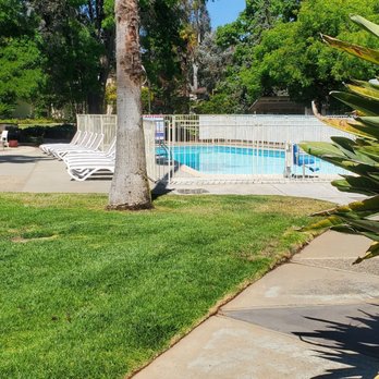 Los Gatos Lodge - view of the pool from our room - Hotels Near Me - Los Gatos, California
