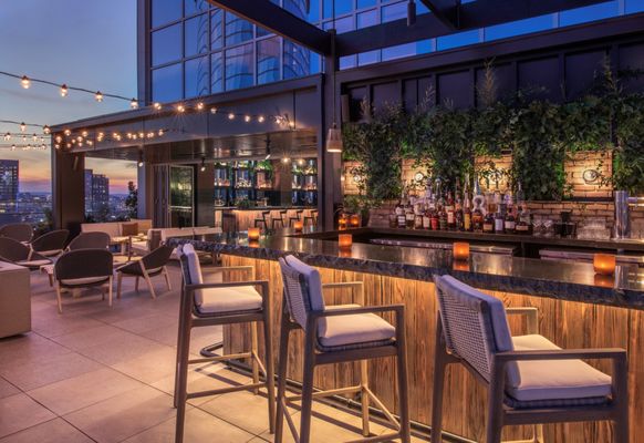 Harriet's Rooftop by null