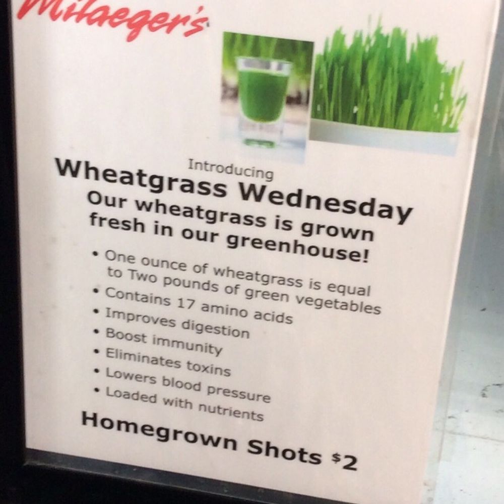 Milaeger's - Nurseries & Gardening Near Me - Racine, Wisconsin Milaeger's - Nurseries & Gardening Near Me - Racine, Wisconsin