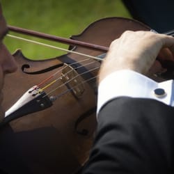 Allegro Quartet - Stunning live music - all sizes of ensembles, singers, and instruments.