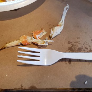 Crafty Crab - Size comparison with a fork - Cajun/Creole Near Me - Sunrise, Florida