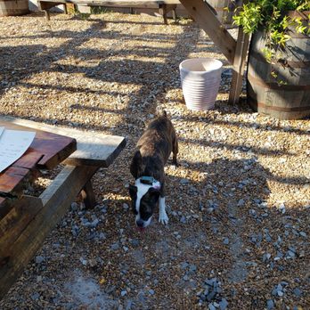 Chattanooga Brewing Co. - Off leash area. - New American Near Me - Chattanooga, Tennessee