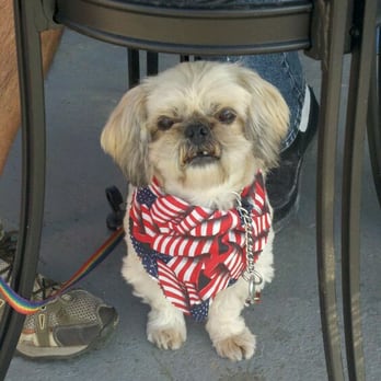 High Sierra Bakery - Dog friendly patio with a great view of town! Henri says come on down! - Bakeries Near Me - Bridgeport, California High Sierra Bakery - Dog friendly patio with a great view of town! Henri says come on down! - Bakeries Near Me - Bridgeport, California