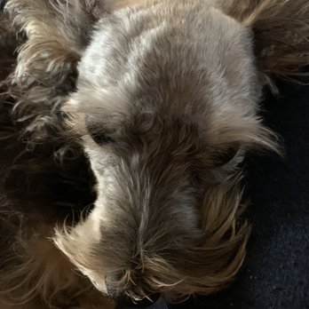 Petco - Pet Stores Near Me - Chino, California