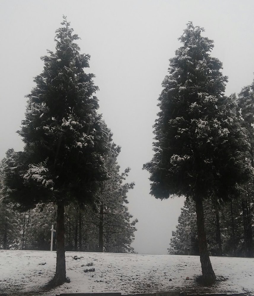 SKYVIEW TERRACE MOBILE HOME PARK Updated August 2024 21200 Todd Valley Rd, Foresthill