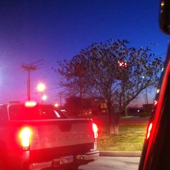 Starbucks - Buffalo Gap Rd - Crazy! Trees are FILLED with birds in the morning - SO LOUD!! - Coffee & Tea Near Me - Abilene, Texas Starbucks - Buffalo Gap Rd - Crazy! Trees are FILLED with birds in the morning - SO LOUD!! - Coffee & Tea Near Me - Abilene, Texas