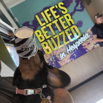 Better Buzz Coffee - Pup enjoying a pup cup. - Coffee & Tea Near Me - Hesperia, California Better Buzz Coffee - Pup enjoying a pup cup. - Coffee & Tea Near Me - Hesperia, California