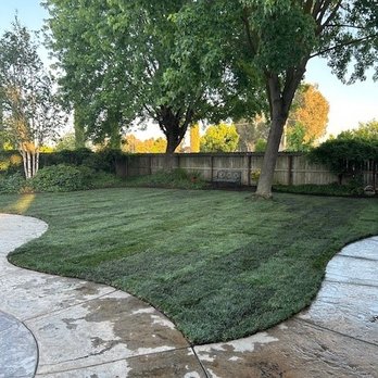 C4 Landscaping - Landscaping Near Me - Linden, California C4 Landscaping - Landscaping Near Me - Linden, California