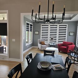 The Blind Gallery - Black Banded Shades and Roller Shades.