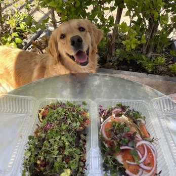 Lighthouse Coffee - Avocado toast, salmon lox, and our dog @mooseandwaffles - Coffee & Tea Near Me - Santa Barbara, California Lighthouse Coffee - Avocado toast, salmon lox, and our dog @mooseandwaffles - Coffee & Tea Near Me - Santa Barbara, California