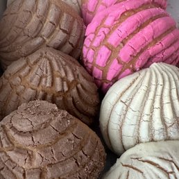 CONCHAS! CONCHAS!
