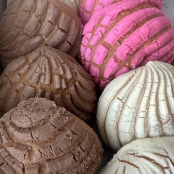 Hilda's Mexican Bakery - CONCHAS! - Bakeries Near Me - San Diego, California Hilda's Mexican Bakery - CONCHAS! - Bakeries Near Me - San Diego, California