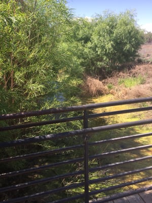 Rio Bosque Park by null