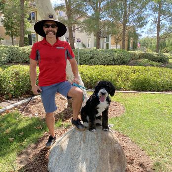 LimitLess Dog Training Temecula - Aggie at training. - Pet Training Near Me LimitLess Dog Training Temecula - Aggie at training. - Pet Training Near Me