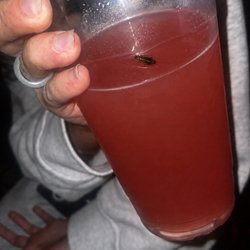 The Backroom Kava Bar