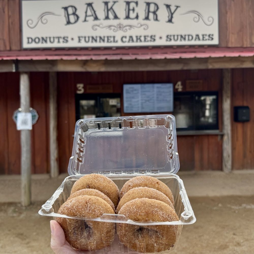 Hall Family Farm - Cider donuts - Pumpkin Patches Near Me - Lancaster, South Carolina Hall Family Farm - Cider donuts - Pumpkin Patches Near Me - Lancaster, South Carolina