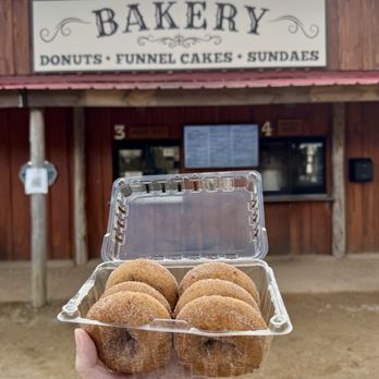 Hall Family Farm - Cider donuts - Pumpkin Patches Near Me - Lancaster, South Carolina