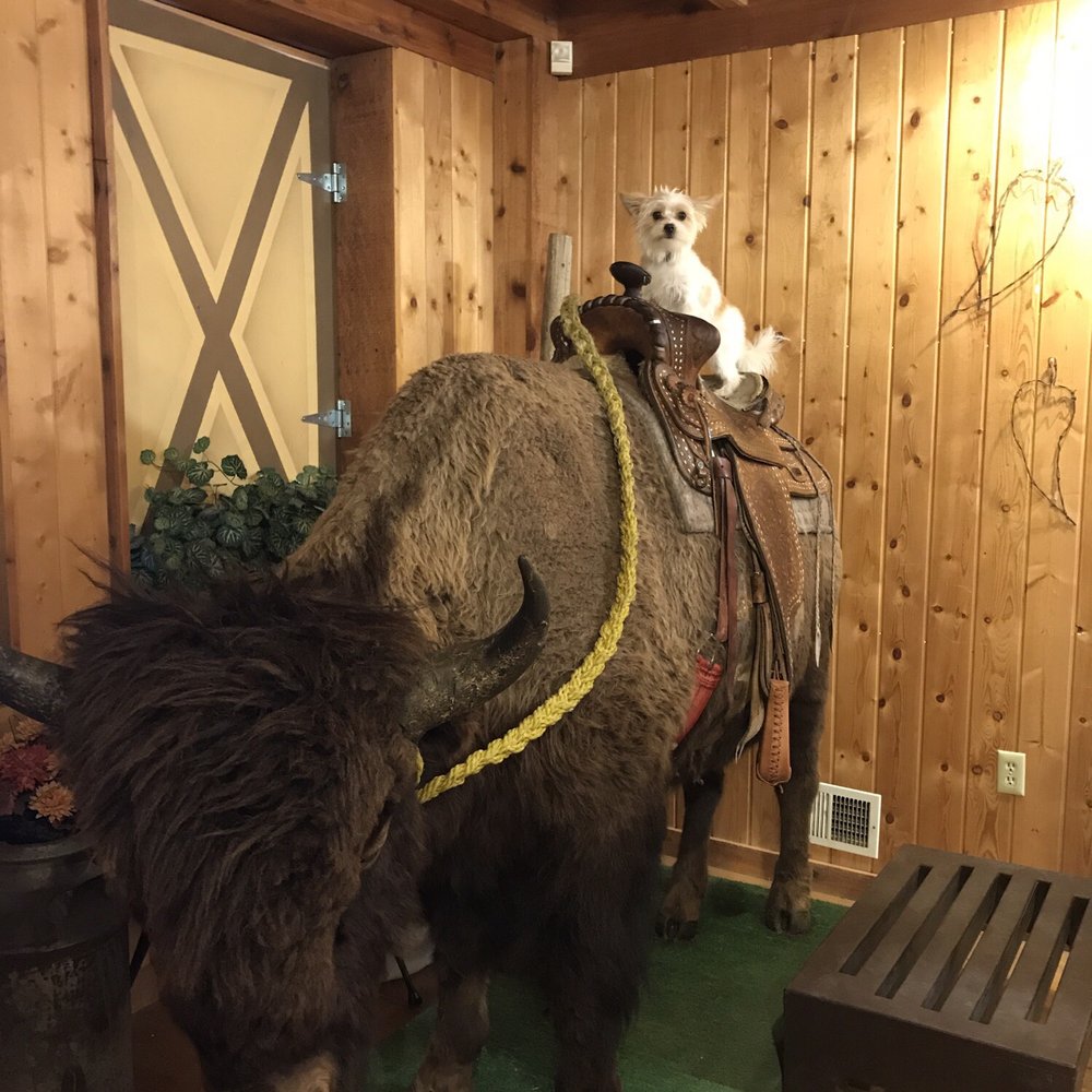 Terry Bison Ranch Resort - Pets are welcome! - Venues & Event Spaces Near Me - Cheyenne, Wyoming