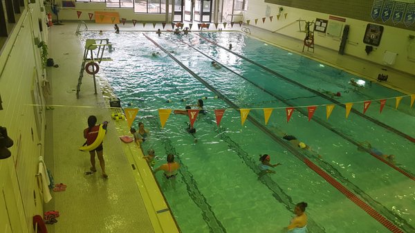 YMCA 11 Reviews Gyms 567 Sheppard Avenue E North York ON 