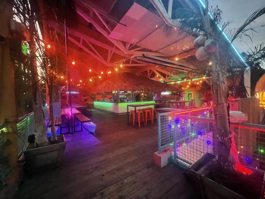 The Cat's Pajamas by null