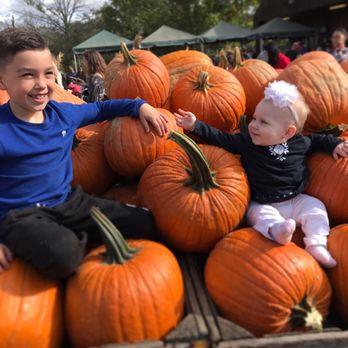 Linvilla Orchards - Farmers Market Near Me - Media, Pennsylvania