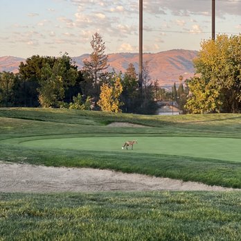 Los Lagos Golf Course - Golf Near Me - San Jose, California Los Lagos Golf Course - Golf Near Me - San Jose, California