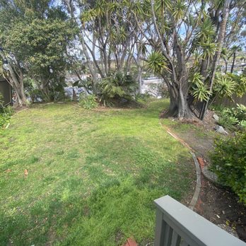 US Turf - Before - Artificial Turf Near Me - San Diego, California US Turf - Before - Artificial Turf Near Me - San Diego, California