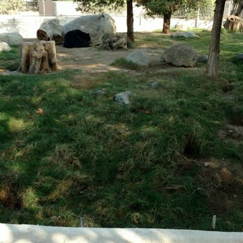 CALM Zoo - Zoos Near Me - Bakersfield, California