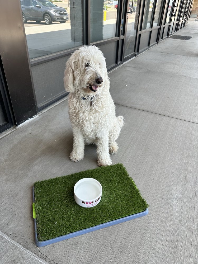 Woof Gang Bakery & Grooming Image