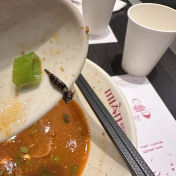 Mian - FOUND A BIG WORM in the noodle soup - Noodles Near Me - Costa Mesa, California Mian - FOUND A BIG WORM in the noodle soup - Noodles Near Me - Costa Mesa, California