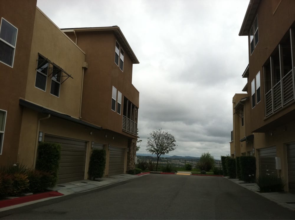 LATITUDES SOUTH AT VANTIS BY SHEA HOMES Updated June 2024 1