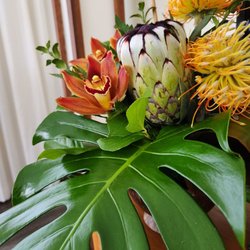Bloom By Place - Tropical beauty in a coconut bowl