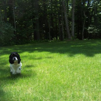 Lawn Dawg - Lawn Services Near Me - Portland, Maine Lawn Dawg - Lawn Services Near Me - Portland, Maine