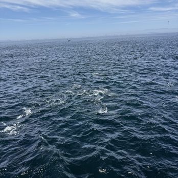 Harbor Breeze - Boat Charters Near Me - Long Beach, California