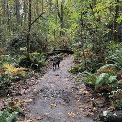 Grand Forest in Bainbridge Island gift card