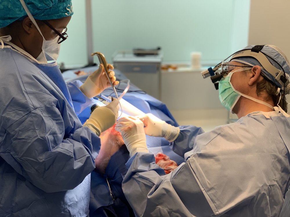 DORNER PLASTIC SURGERY 25 Photos & 15 Reviews 4930 Bradenton Ave