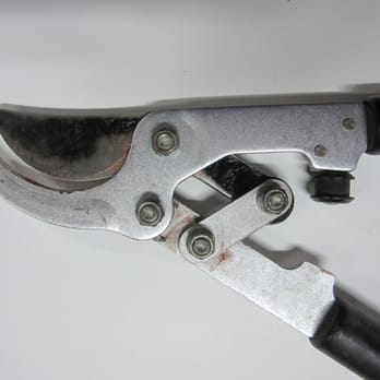 Acme Sharpening - Import lopper #1 cleaned and sharpened. - Knife Sharpening Near Me - San Ramon, California