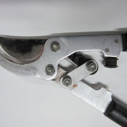 Acme Sharpening - Import lopper #1 cleaned and sharpened.