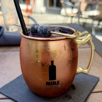 Park 600 - Blueberry Ginger Mule - Breakfast & Brunch Near Me - Rochester, Michigan Park 600 - Blueberry Ginger Mule - Breakfast & Brunch Near Me - Rochester, Michigan